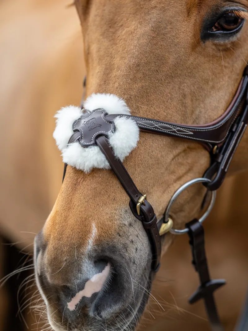 LeMieux Grackle Bridle - Havana-2
